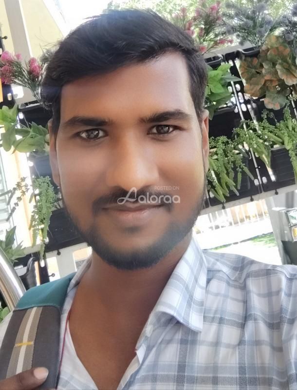 Play boy Delhi gurugram Noida